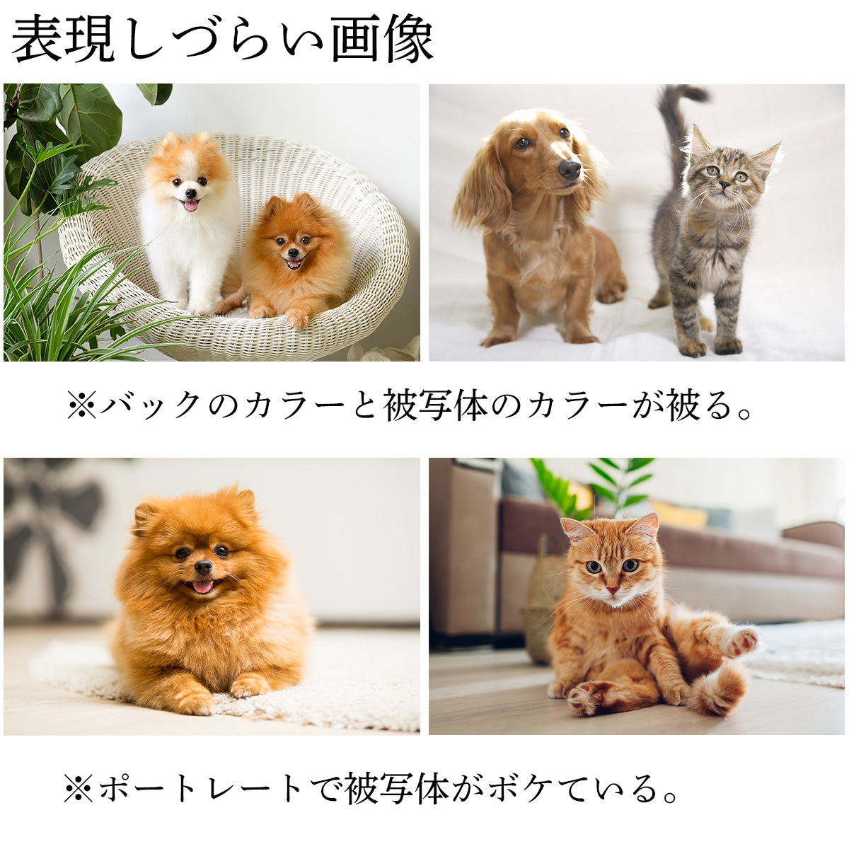 【Photo Fab】フォトファブをもっとお手軽に! アクリルフレーム フォトファブリック 西陣織 受注生産 プレゼント